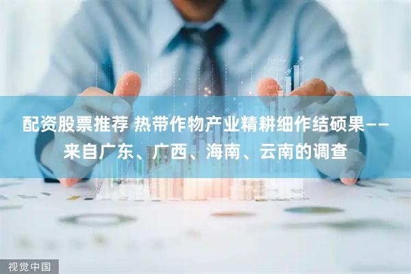配资股票推荐 热带作物产业精耕细作结硕果——来自广东、广西、海南、云南的调查