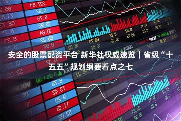 安全的股票配资平台 新华社权威速览｜省级“十五五”规划纲要看点之七